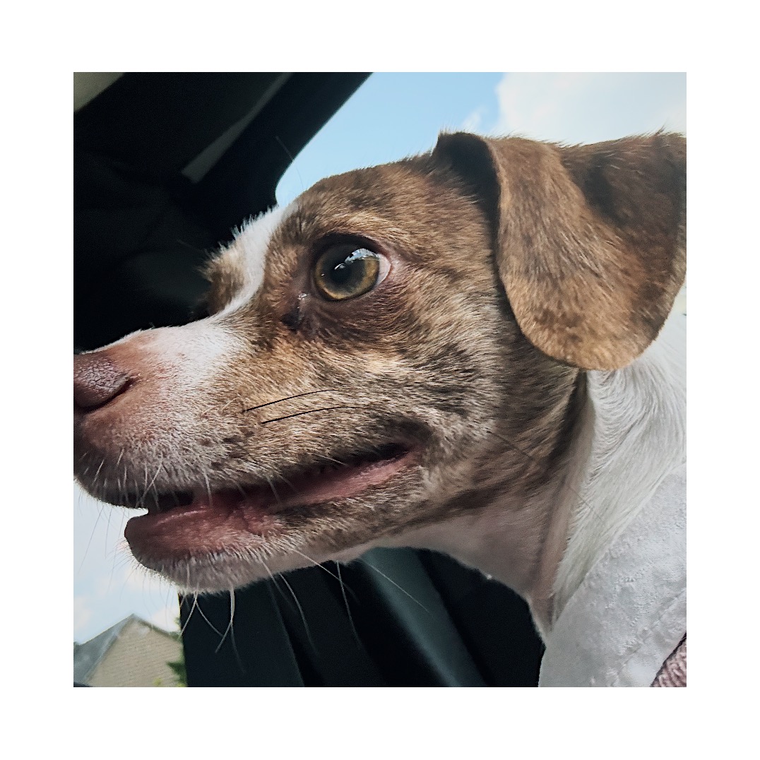 Screenshot%202026 03 26%20at%206.41.14%E2%80%AFPM VSCO