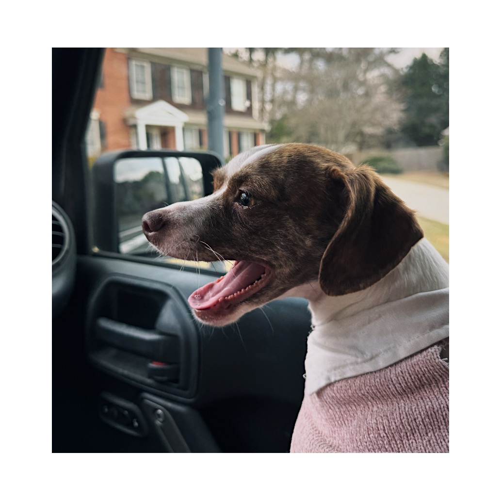 Screenshot%202026 03 26%20at%206.40.49%E2%80%AFPM VSCO