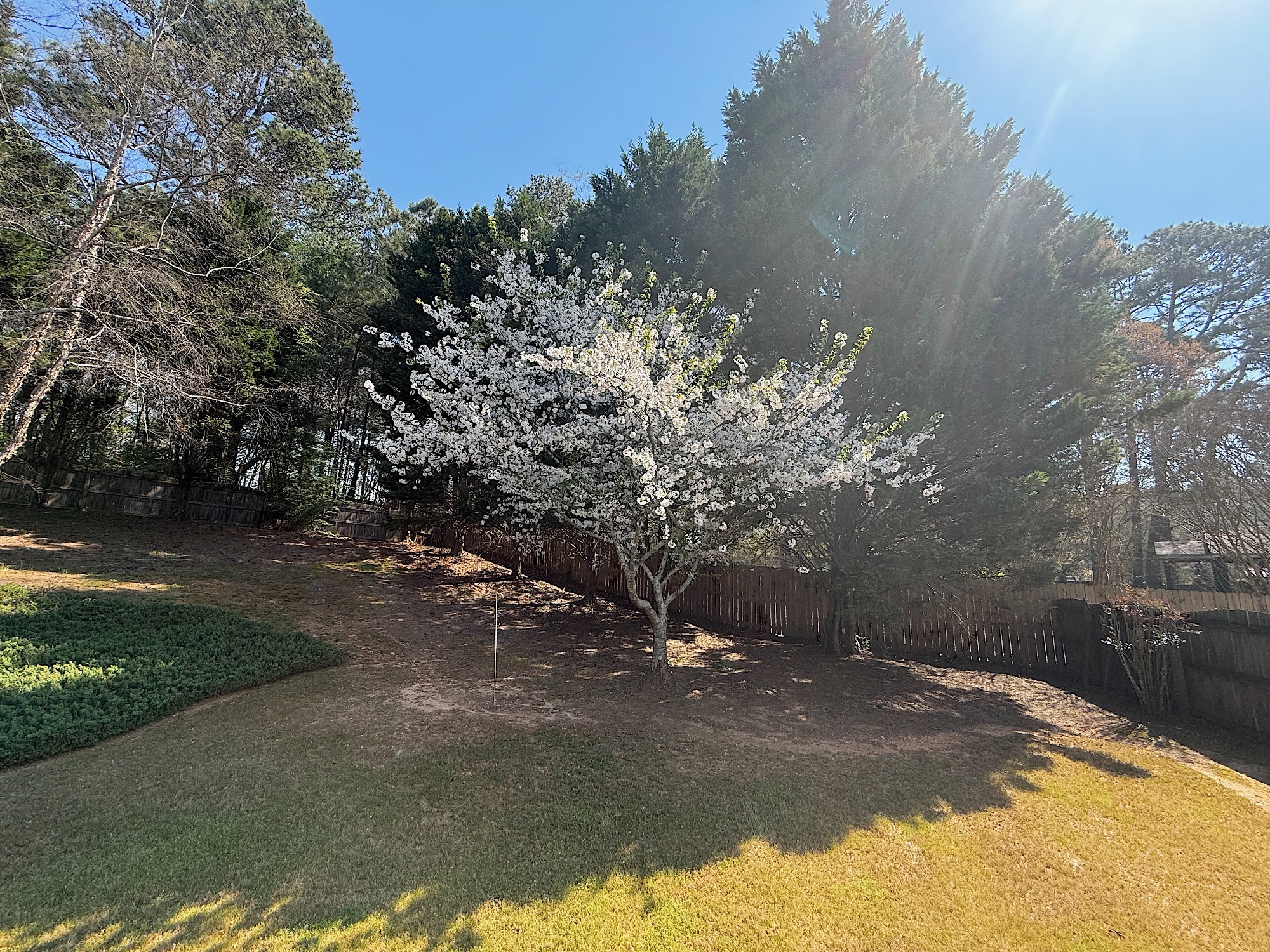 114BB306 11C8 4A36 8FBA E0B92122D3CC